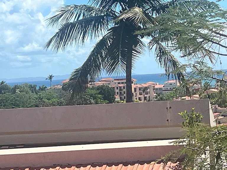 C4 La Jolla Palmas Del Mar Dr — Photo 5
