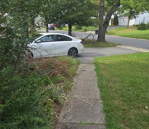3rd image of 4010 William Ln