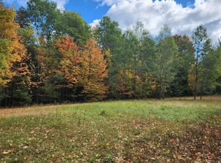 13938 N 220th Ave, Leroy, MI 49655