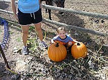 Pumpkins