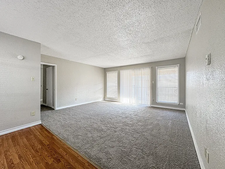 Spacious living room with plush carpet and direct patio access at Borders Apartments in Brownsville Texas.