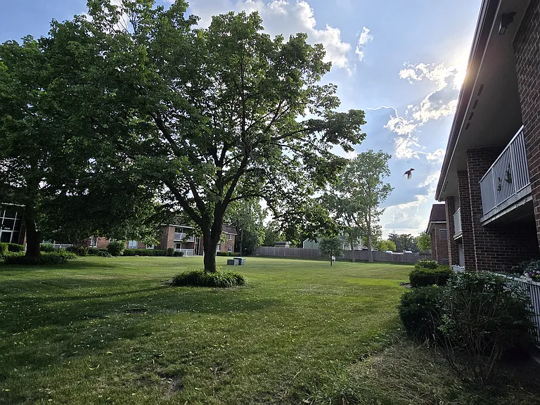 1104 Mercury Dr #2B — Photo 16