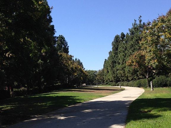 Park outside of backyard