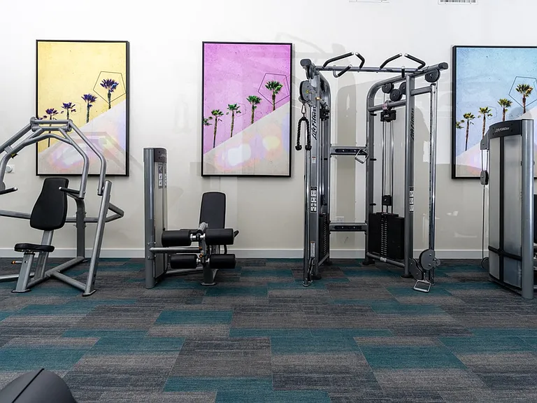 Workout Room with Resistance Equipment and Modern Fitness Decor
