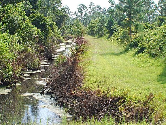 Miles of trails to ride