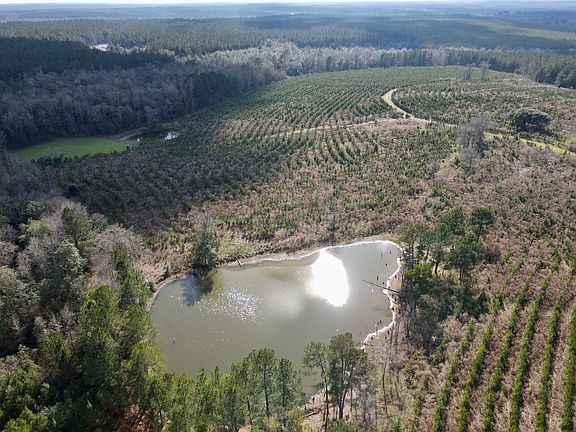 5th image of 0 Neely Avera Rd