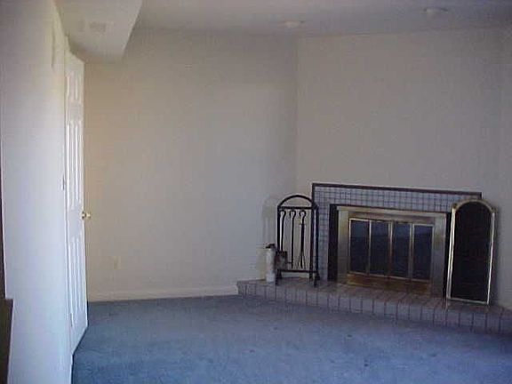 Wood Burning Fireplace