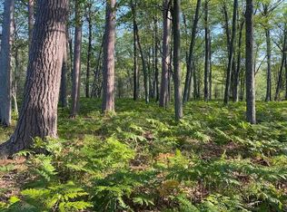 McCollum Lake Rd, Curran, MI 48728