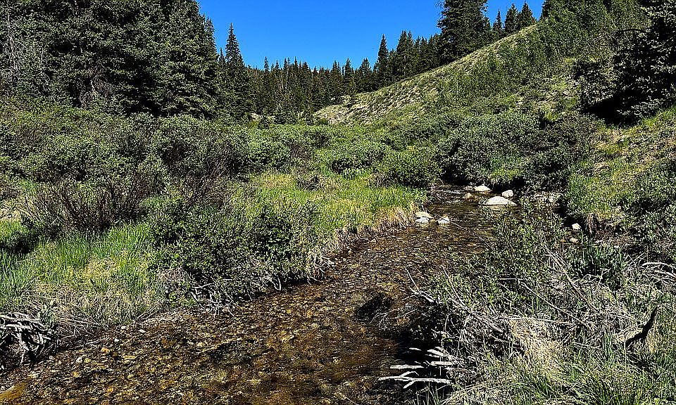 1st image of LOT 1 Forest Service Rd #766