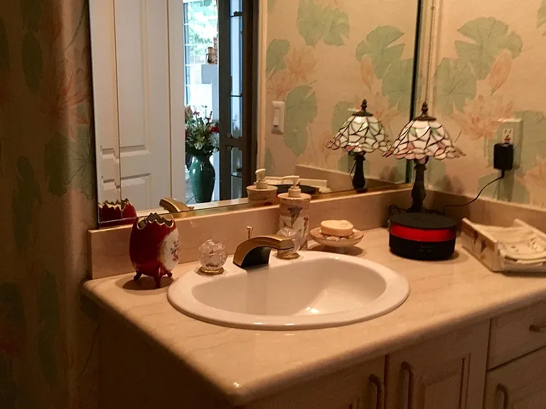 Guest Downstairs Half Bathroom