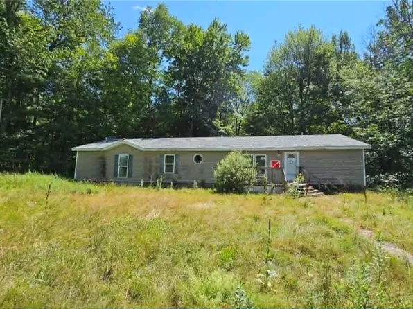 251 Bardeen Rd, Hastings, NY 13076