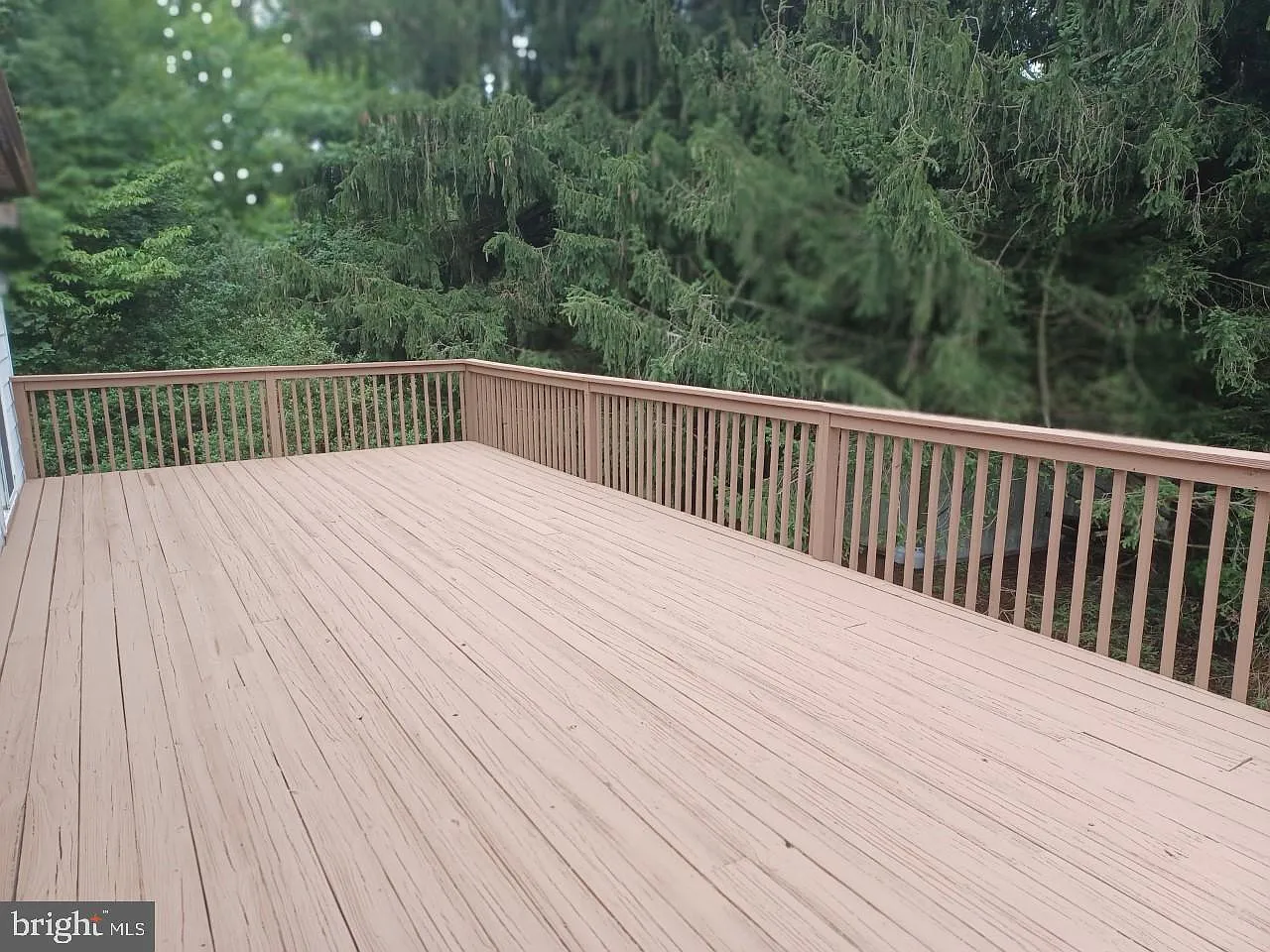 3 bed, 1500 sqft, $2,900 — Photo 3