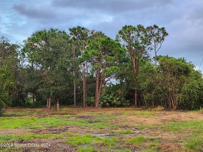 11126 Mulberry St, Sebastian, FL, 32958
