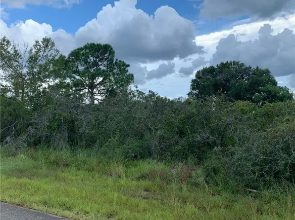 443 Detroit Rd, Lake Placid, FL 33852