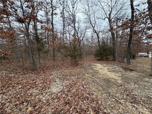 14 Roosevelt Rd, Camdenton, MO 65020