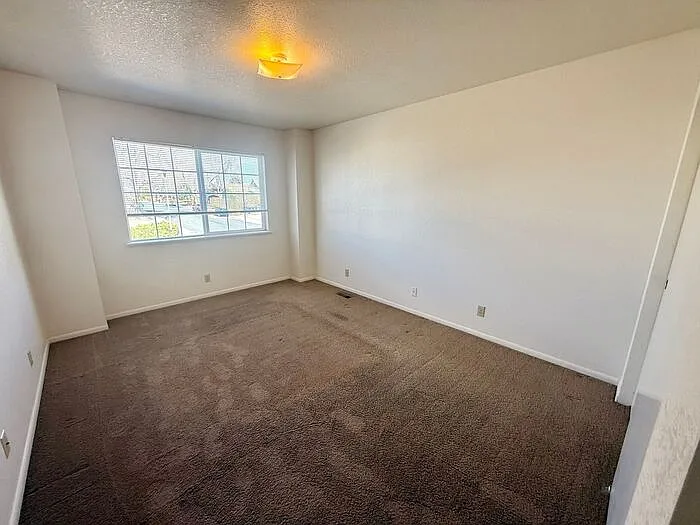 4850 Basswood Dr — Photo 11