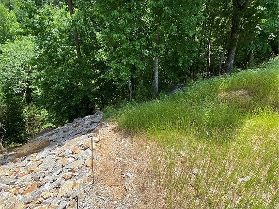 4th image of 10288 Legacy Ln #9