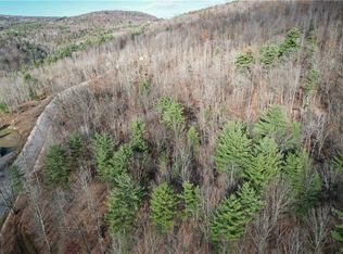 Braybrook Rd #24, Chemung, NY 14825