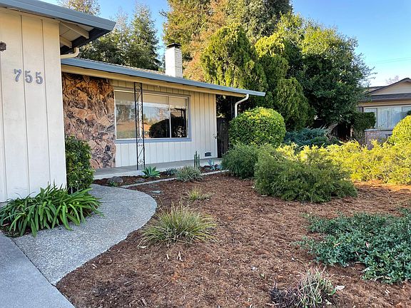Low water landscaping