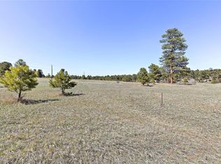 4506 Parmalee Gulch Rd, Indian Hills, CO 80454