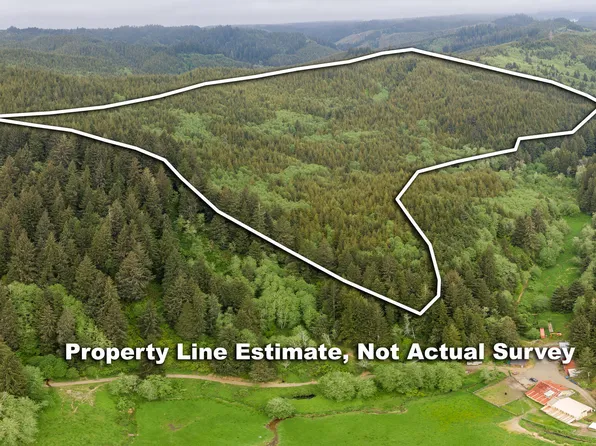 Tl 700 701 Wolkau Rd, Seal Rock, OR 97376