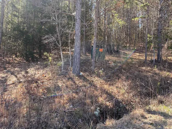 LOT 1 Alyson Ave NW, Fort Payne, AL 35968
