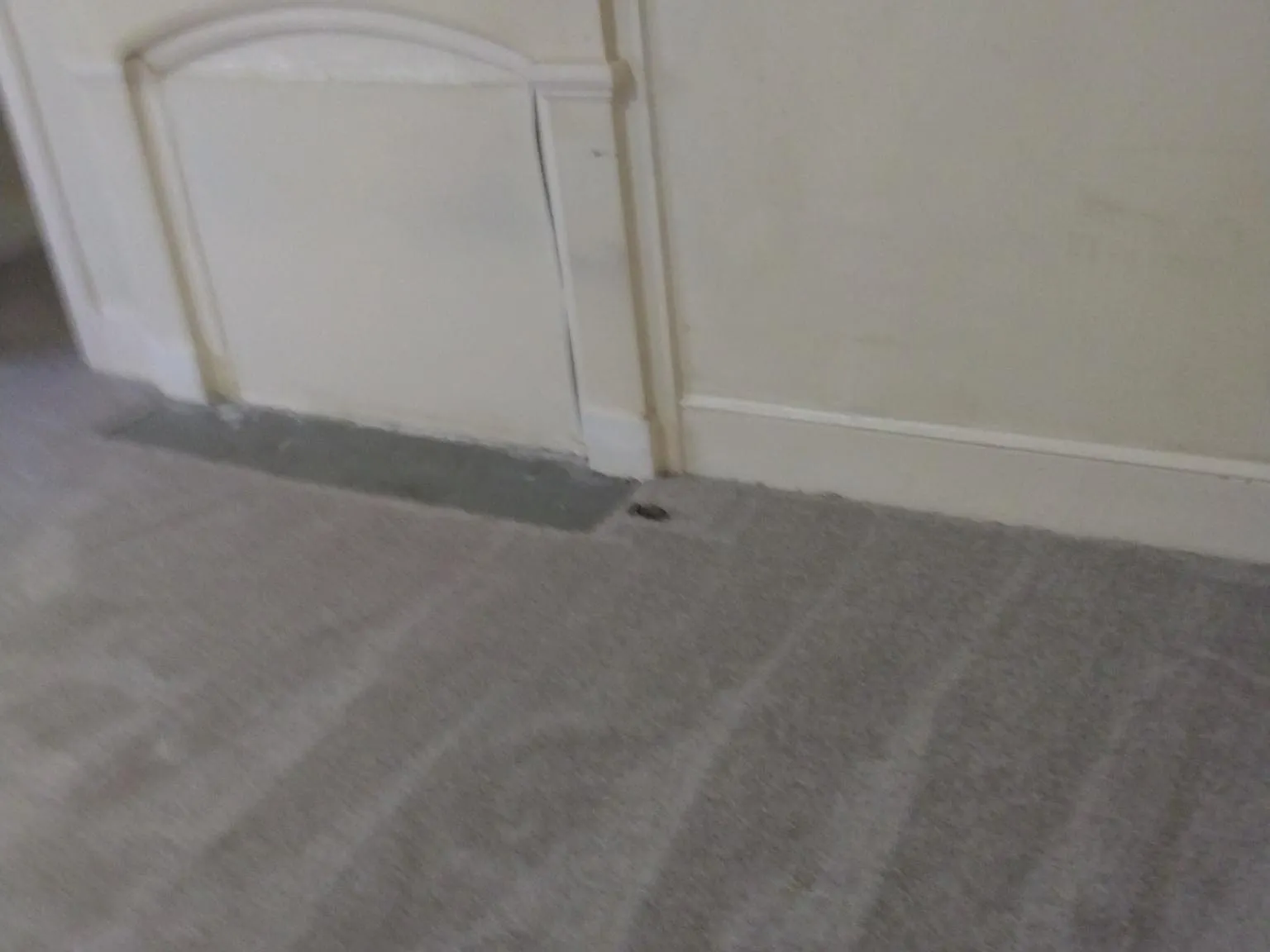 1310 Calhoun Street — Photo 1