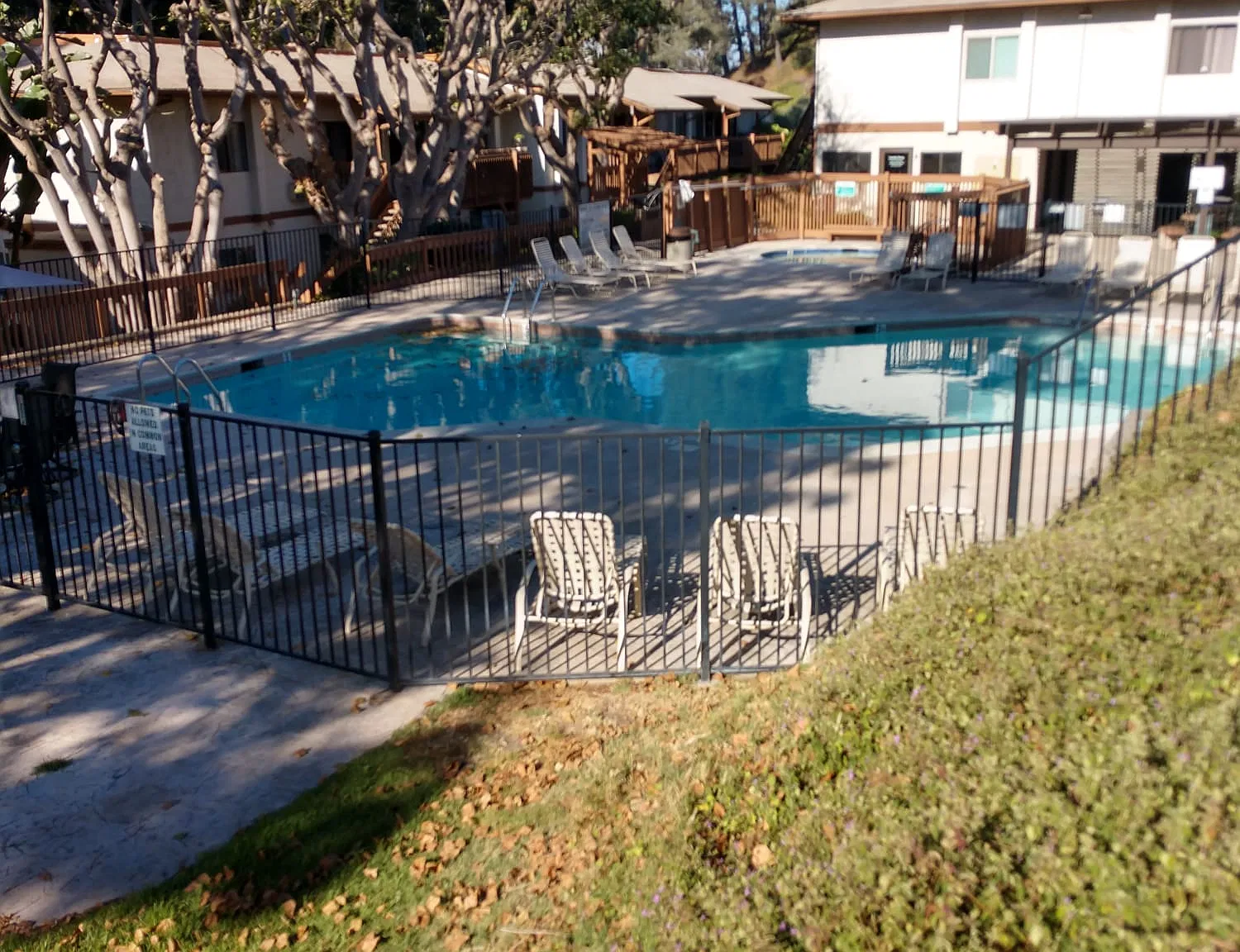 1 bed, 506 sqft, $2,300 — Photo 2