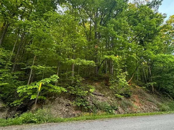 0 SE On Owasco Rd #20, Moravia, NY 13118