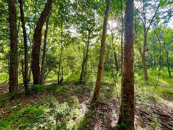 2nd image of 1-1-31 Texas Grand Rd
