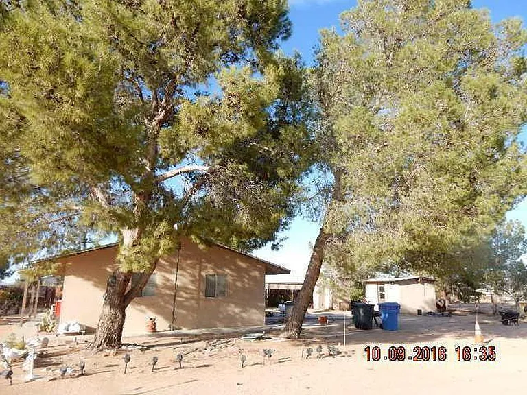 side view