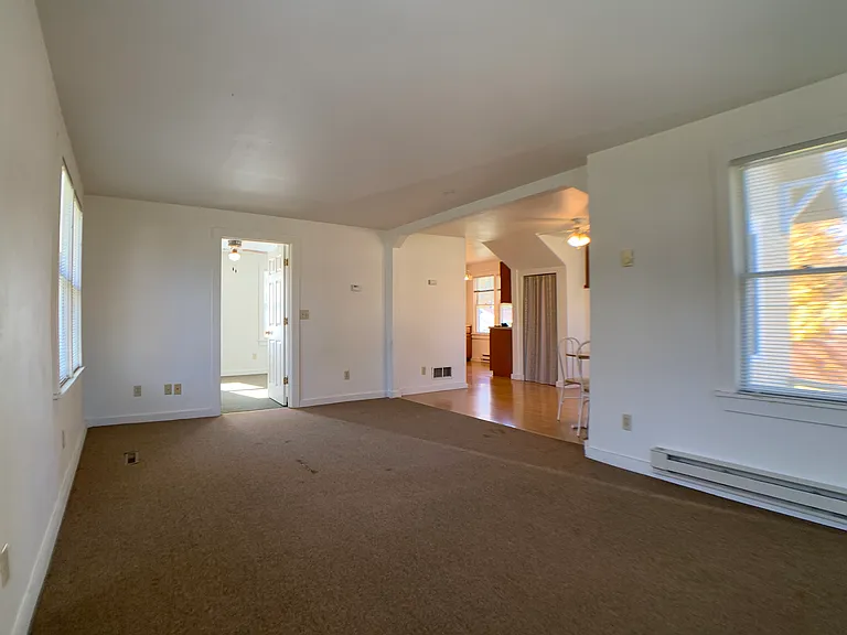215CanningSt - LivingRoom(2)_11242020