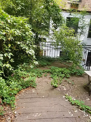 Rented by MNS | media 40