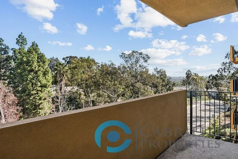 2 bed, 2.0 bath, 996 sqft, $3,000 — Photo 3