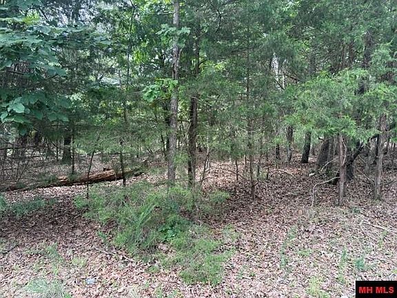 5th image of 258 County Road 472