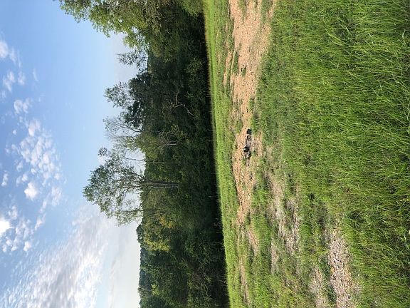 3rd image of 3718 Marion Anderson Rd #1