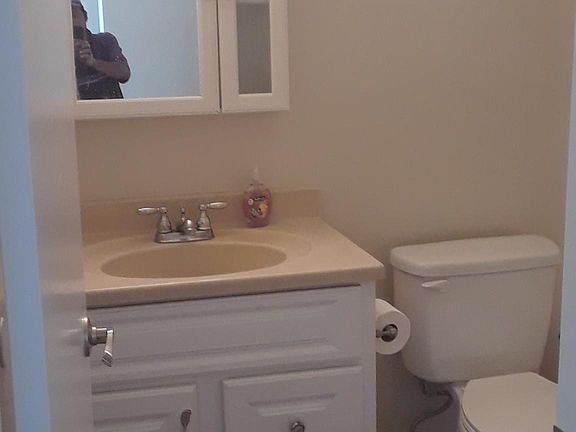 Full bathroom in the hall. Master bath has a new tiled shower. Both have vinyl plank flooring and white cabinetry.