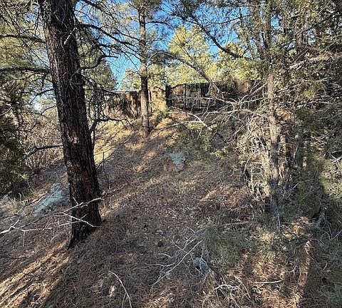 3rd image of 2561 W Rogers Dr