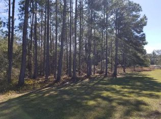 5900 Green Pond Rd #0, Polk City, FL 33868