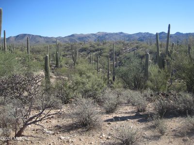 Xx Derrio & Muledeer, Marana, AZ, 85658