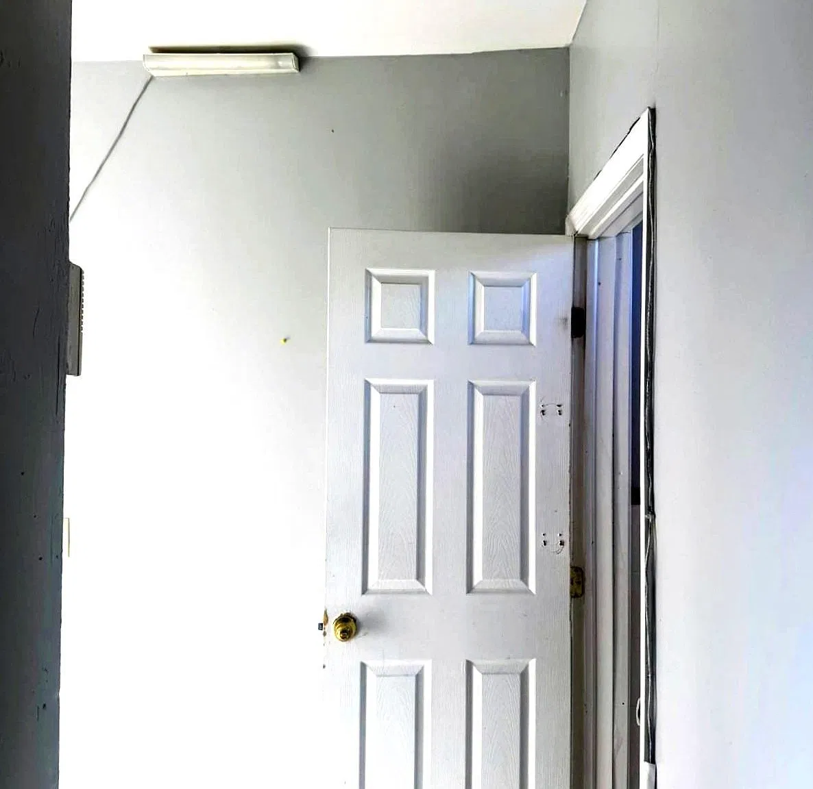 2 bed, 1.0 bath, $1,800 — Photo 2
