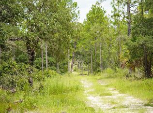 SE State Road 121 LOT D, Morriston, FL 32668