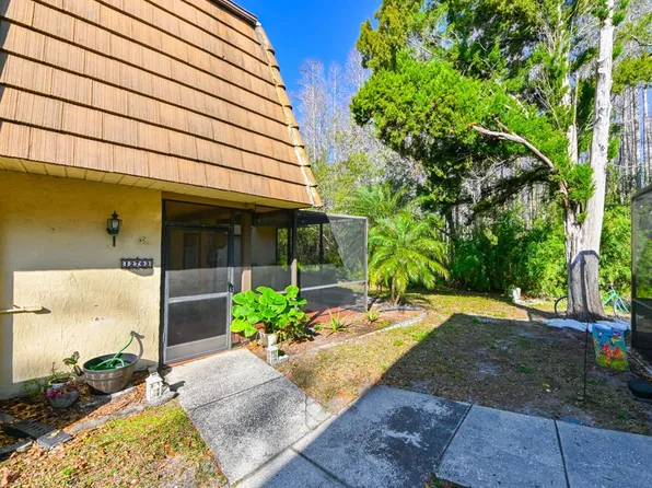 12703 Tall Pine Dr, Tampa, FL 33625