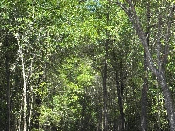 4th image of 0 Warbonnet Rd