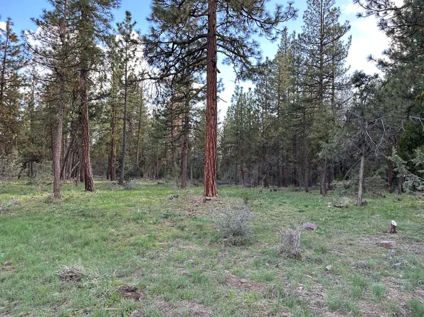 Red Deer Ln Lot 2, Bonanza, OR 97623