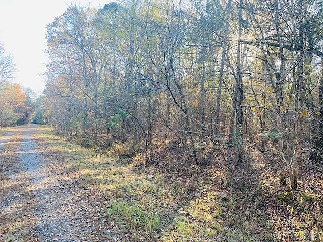 2nd image of Black Gum Ln