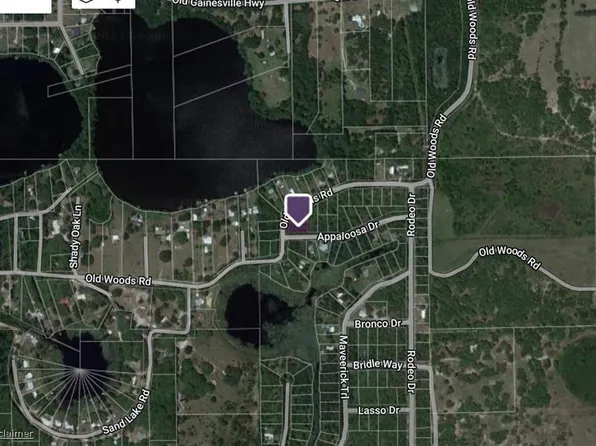 Old Woods Rd Lot 2, Interlachen, FL 32148