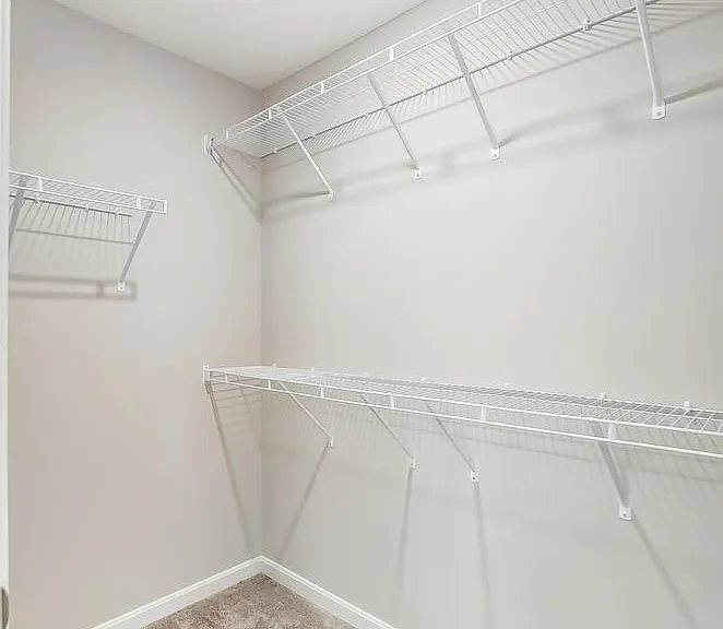 4898 Harrier Ln — Photo 15