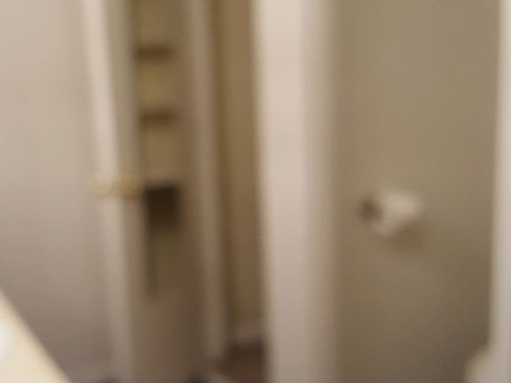 Bathroom linen closet