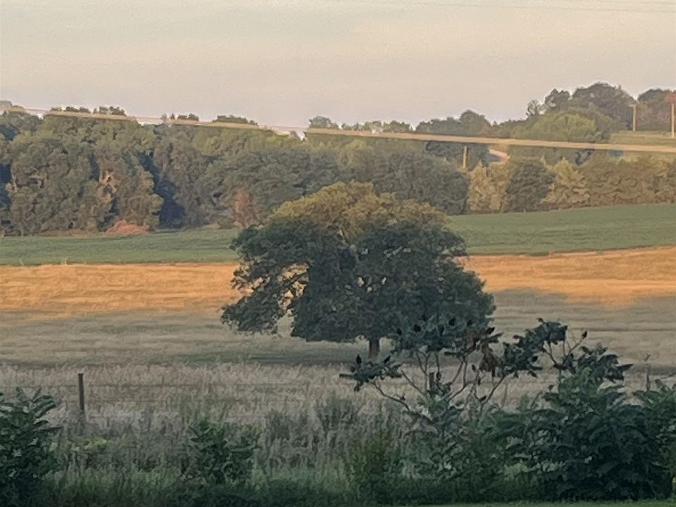 84669 560th Ave, Hoskins, NE 68740 Zillow